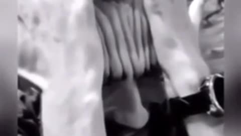 Amazing video II