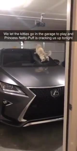 I posted this on a few days ago but i think it’s still funny so here you go