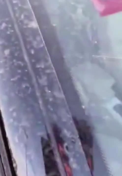 Leftover Chemtrails From Rain Sticking To Magnets