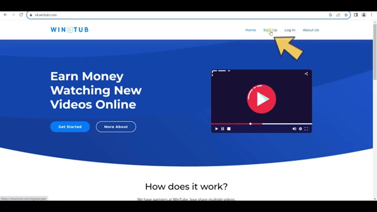 Online Earning video