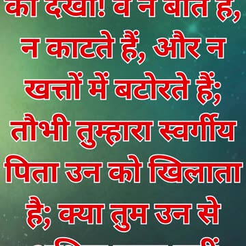 "आकाश के पक्षियों का उदाहरण" मत्ती 6:26 |#shortsvideo #shorts #youtubeshorts #yt #youtube