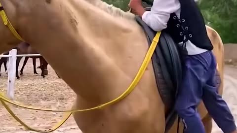 "This little guy has the coolest ride to school! 🐎🎒"
