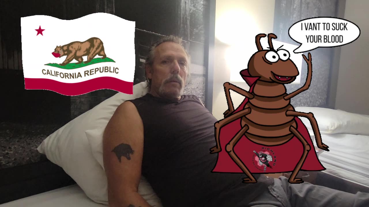 CALIFORNIA BED BUGS HITCH A RIDE TO KENTUCKY