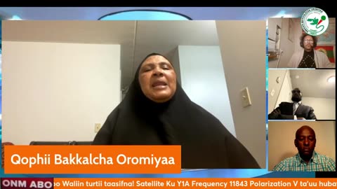 Qophii Bakkalcha Oromiyaa ONM-ABO Sadaasa 4-2024 itti dhiyaadhaa!