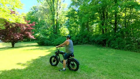 32MPH Dual 1000W Drives POLEEJIEK PLJ2008 Fat Tire Electric Bike 48V 20Ah Battery