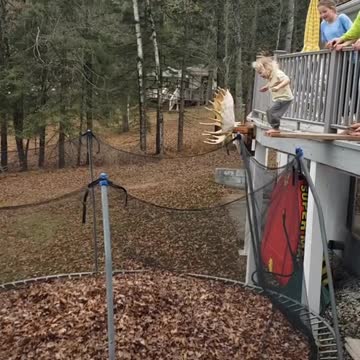 The Terrible Fearless Two's