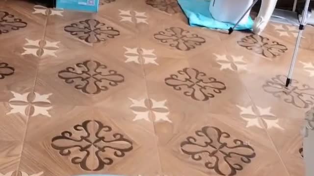 Will your dog carry things for you