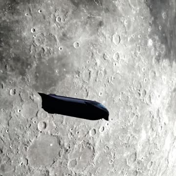 Starship dearMoon