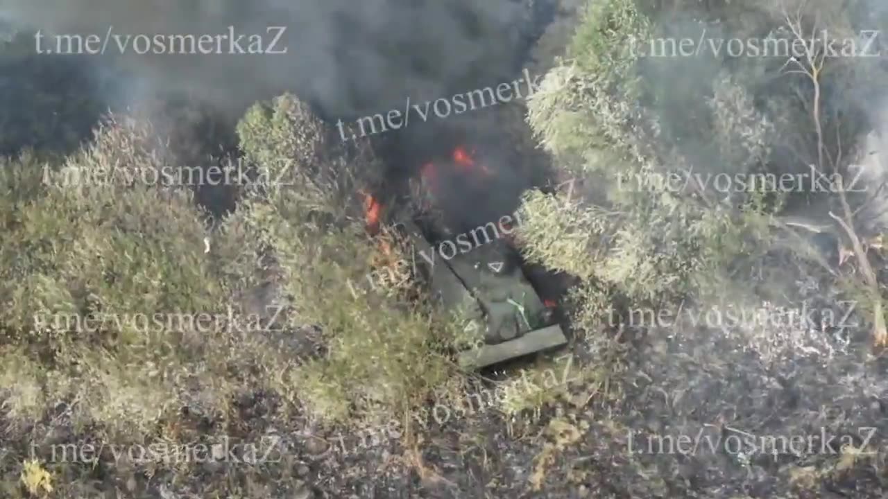 Russian drones destroys a Ukrainian Bergepanzer 2 in kursk region