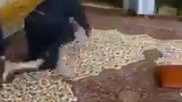 Scary and roughest comedy video i have ever seen on the internet