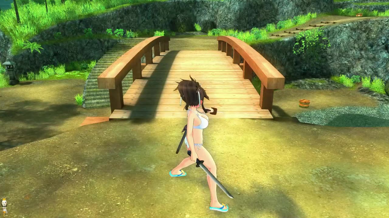 SENRAN KAGURA Burst ReNewal Ultimate Shadows Chapter 1 and 2 PC Steam