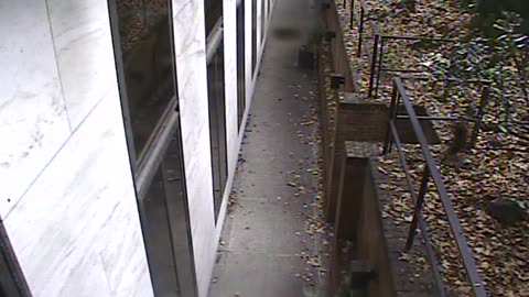 1457HSOB01GroundSoutheast_2021-01-06_13h26min23s917ms.mp4