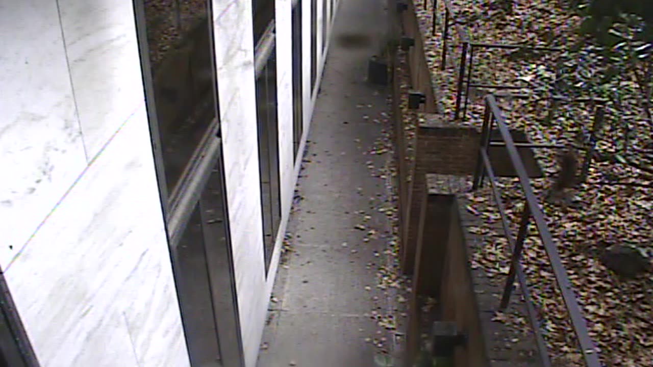 1457HSOB01GroundSoutheast_2021-01-06_13h26min23s917ms.mp4
