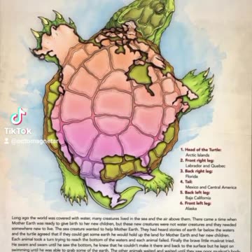 AMERICA IS TURLE ISLAND LANDS OF THE TURTLE DRAGONS