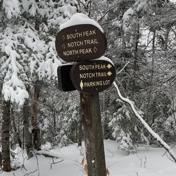 Decisions decisions.