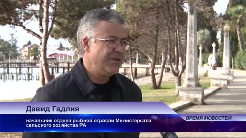 Свыше 150 миллионов рублей может недополучить бюджет Абхазии из-за неудачной путины хамсы