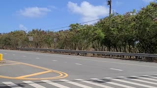 Coming through the Trump rally Kailua