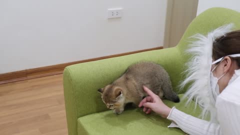Cutest Animals # 2