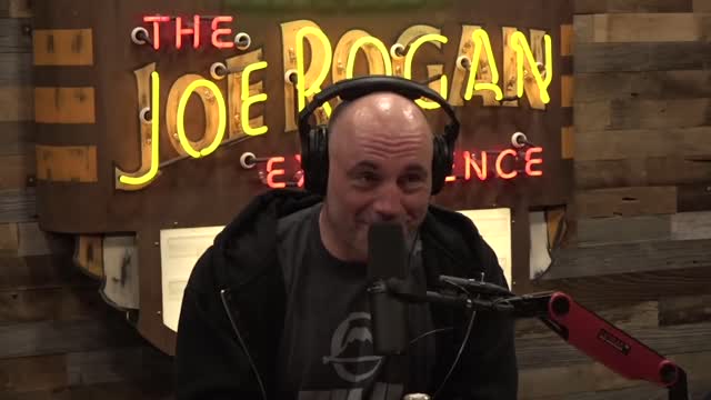 Chef Daniel Holzman on Coffee Culture - Joe Rogan Experience Clips and Four Sigmatic Partnership