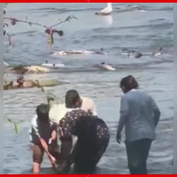 Illegal Fishing Done By Migrants