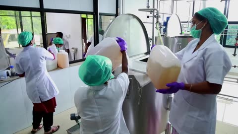 Inside COCONUT Processing in Modern Factory - Coconut Oil, Milk and Flour - Coconut Process Plant