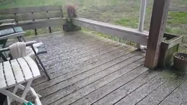Hailstorm !!