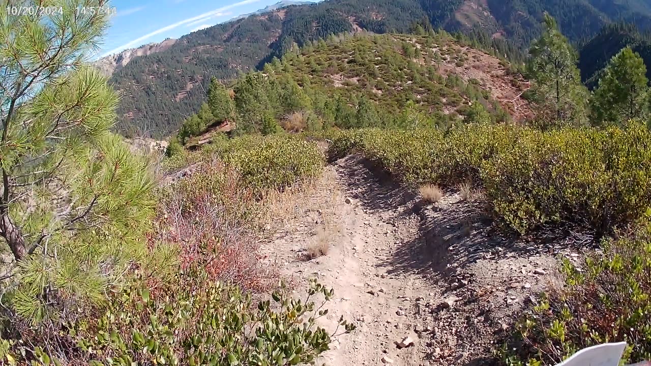 10-20-24 Idaho City Hungarian Ridge Down to the road