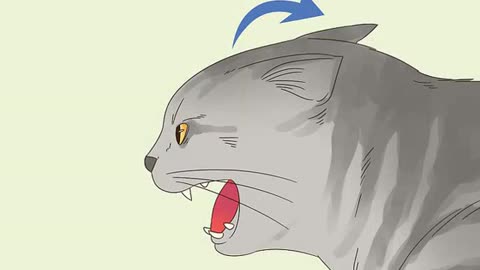 Find out if your cat is angry or just wants to play