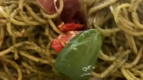 Yummy Basil Pesto Pasta