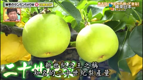 20240828_妙國民糾察隊極