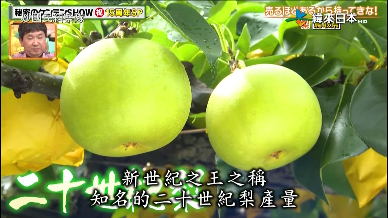 20240828_妙國民糾察隊極