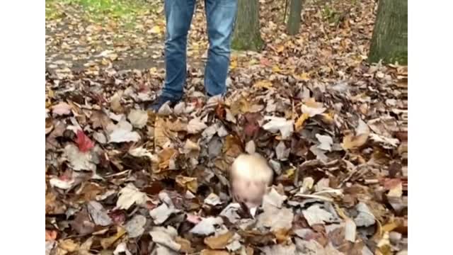 Try not to laugh