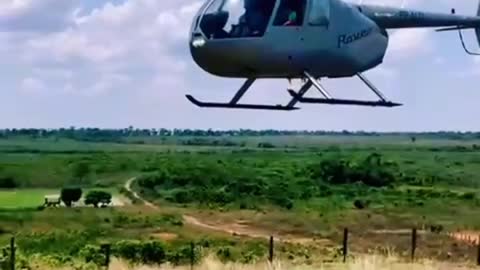 Eu chegando de helicóptero na fazenda