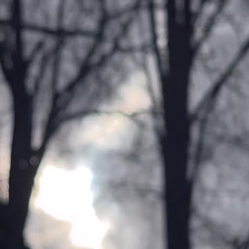 ГОСТЬ, GO TO HOST, GHOST, НОС, NOSE IN TO WHITE NOISE, NEO FOLLOW RABBIT FROM ROOT TREE