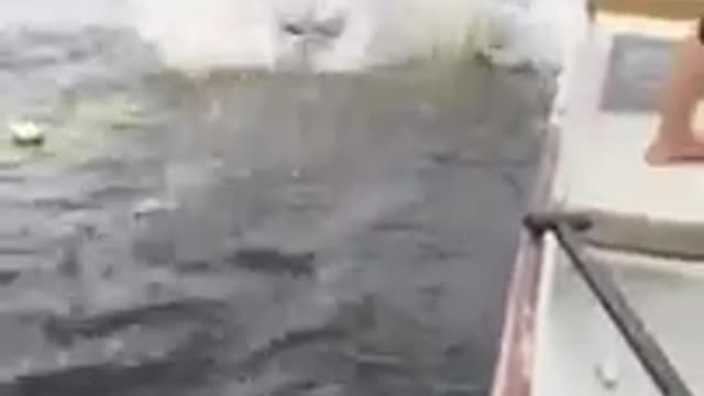Girl goes overboard right off back of boat fail