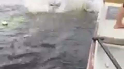 Girl goes overboard right off back of boat fail