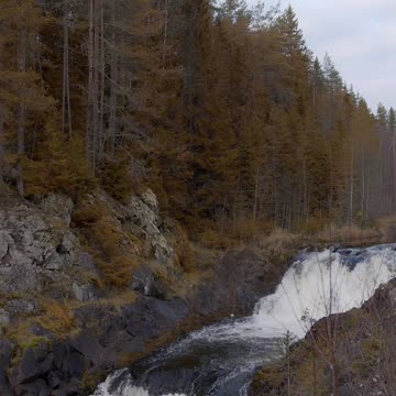 Autumn Forest - Relaxing Nature Video