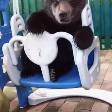 Happy baby well behaved baby bear