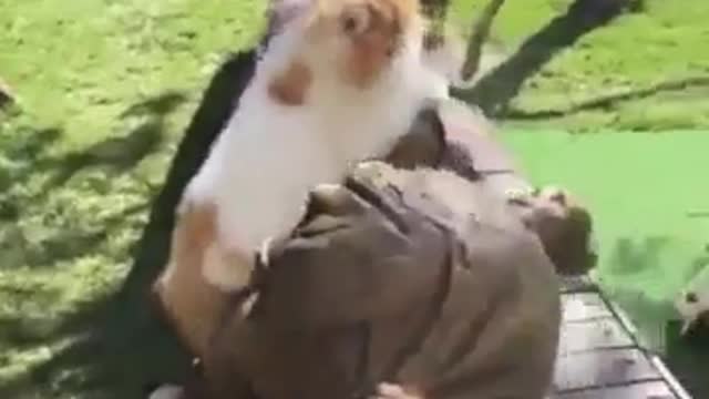 When you want so much on the pens ... And no one takes ...