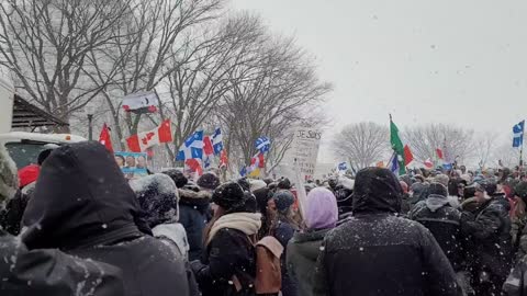 Quebec Freedom Convoy Is Back