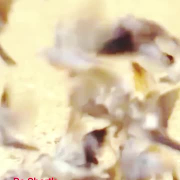 funny funny jokes face funny funny memes funny movies funny bone funny pictures