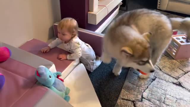 This Year Of Our Lives! Baby And Puppy Growing Up Together! (Cutest Ever!!)