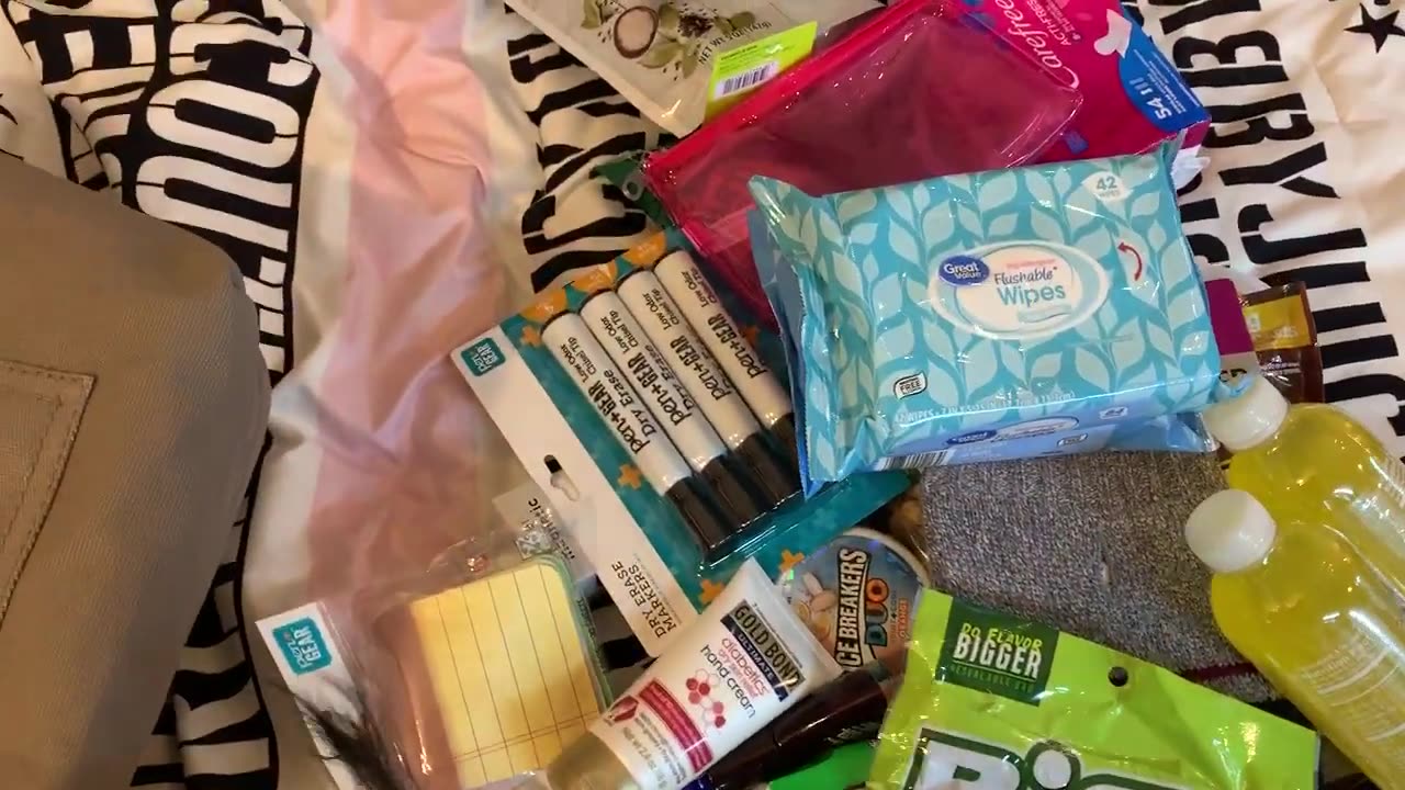 Small Walmart Haul in my Walmart Tote