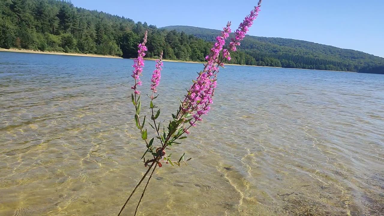 Verano 🏞️🏞️