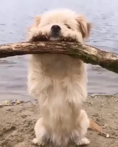 Just hanging out on this relaxing Sunday ☺️