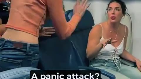 Woman turns into a raging Karen on a plane over a service dog. Thoughts?