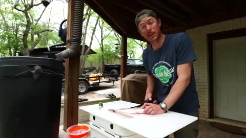 Crappie vs Bass Catch Clean & Cook