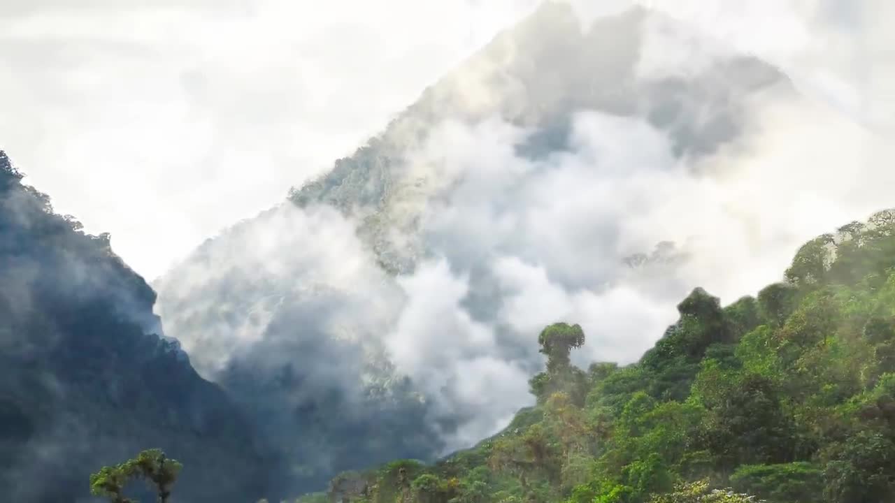 Snake Hunting For Bats In The Darkness | Wild Caribbean | BBC Earth