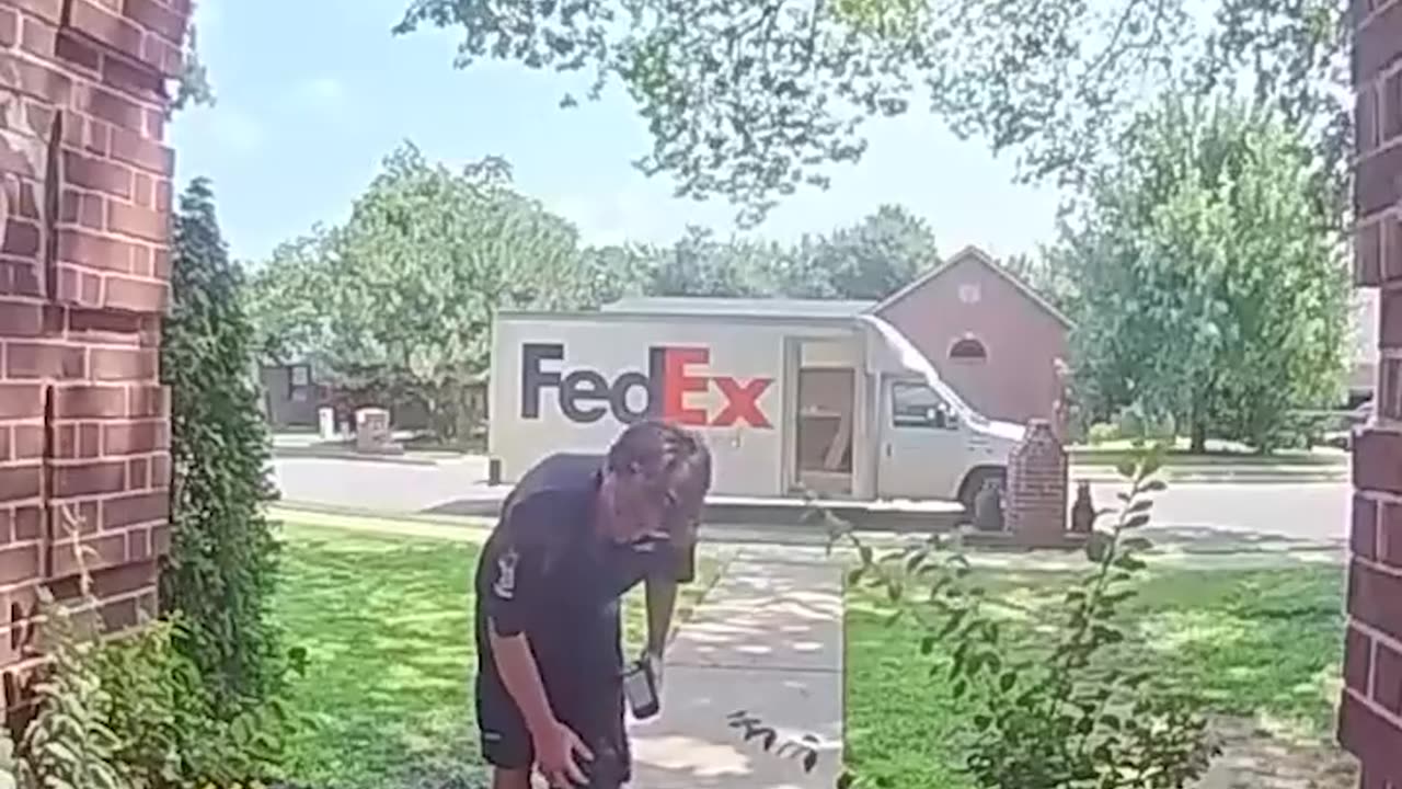 Mini Schnauzer Gives the FedEx Guy a Hug