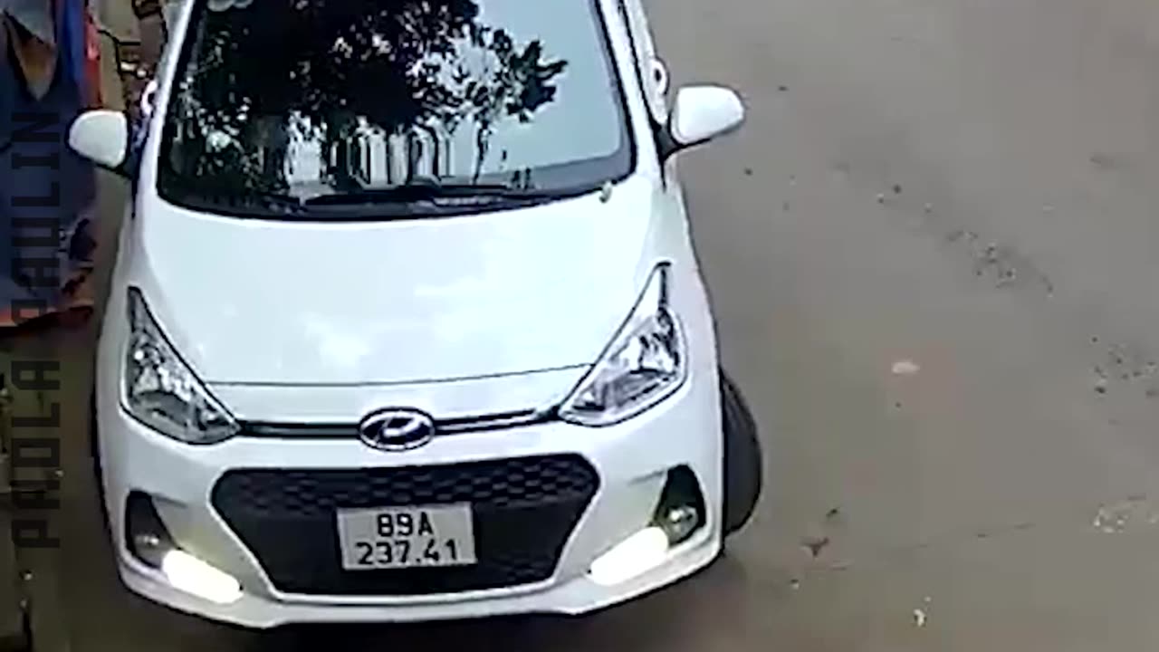 Who Gave Them a License